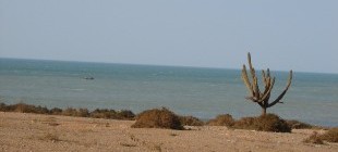 Landscapes of La Guajira